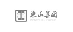 東山集團網站建設