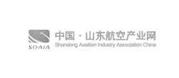 山東航空協會網站建設