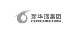 新華錦集團網站建設