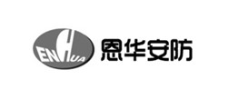 恩華安防網站建設