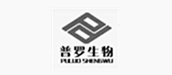 普羅生物網站建設