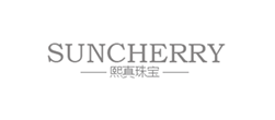熙真鉆石網站建設