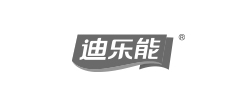 迪樂能網站建設