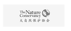 大自然保護協會網站建設