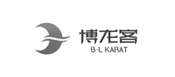 博龍客青島LOGO設計