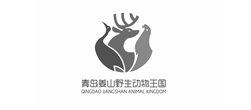 裕舜達旅游青島網站建設