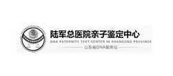 華創親子鑒定網站建設