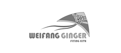 智峰食品青島logo設計