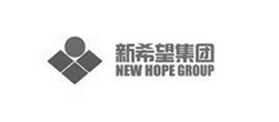 新希望集團網站建設