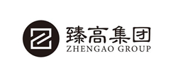 臻高集團logo設計